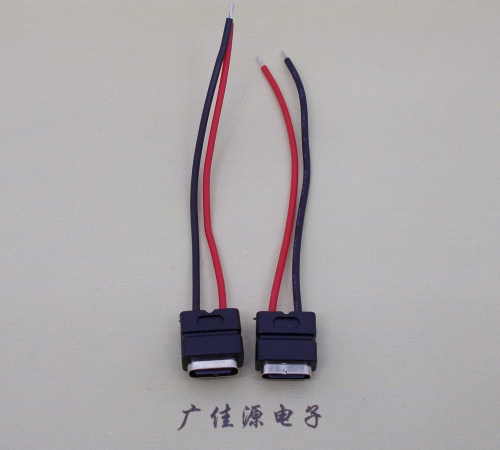 济宁type c2p防水母座焊线式带线注塑成型带接线端子/不带接线端子充电连接器