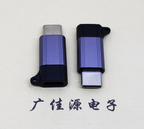 济宁Type-C母转Type-C公 USB3.1 PD100W快冲接口